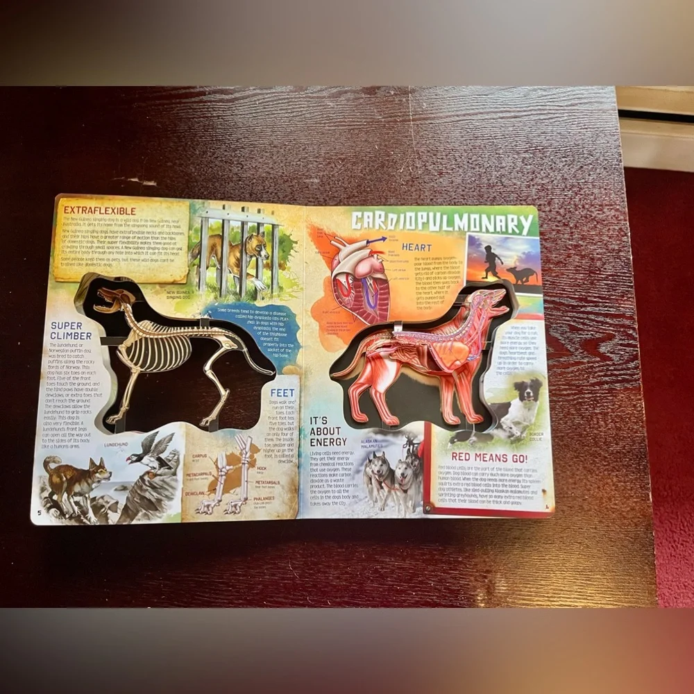 PETS BOOKS (2) - 